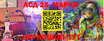 шишки Гатчина