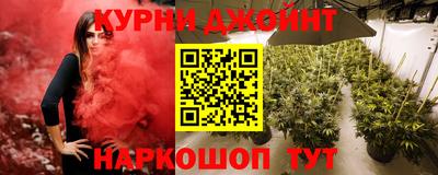 шишки Гатчина