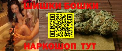 шишки Гатчина