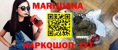 шишки Гатчина