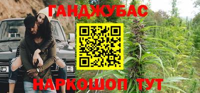 шишки Гатчина