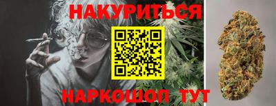 шишки Гатчина